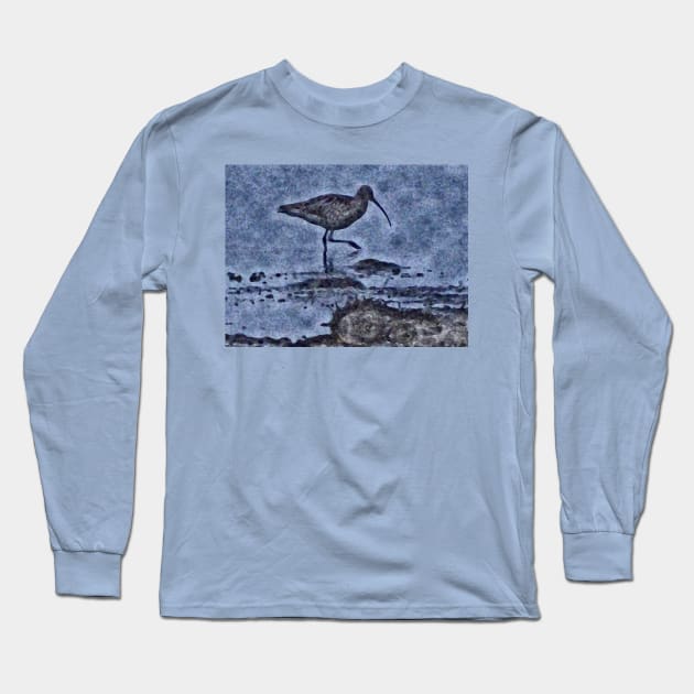 THE PATTER OF THE CURLEW Long Sleeve T-Shirt by dumbodancer